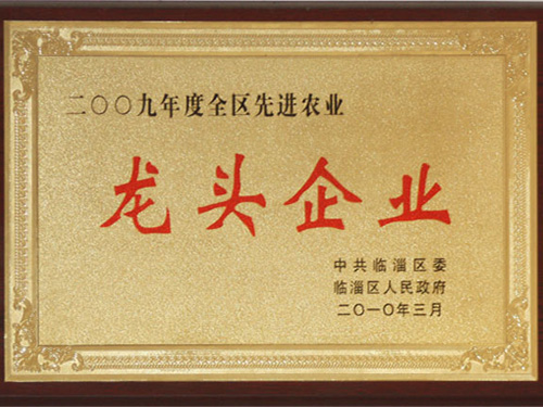 2009年龍頭企業