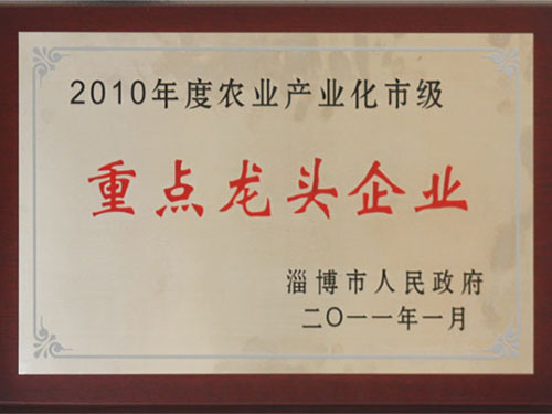 2010年重點龍頭企業